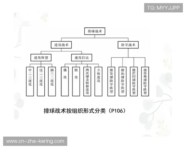 探索全球体育发展新趋势：从青少年运动到职业竞技的全面分析