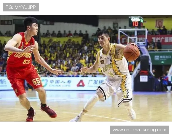 南京乒乓球队战术引发热议球迷与专家各抒己见的背后故事