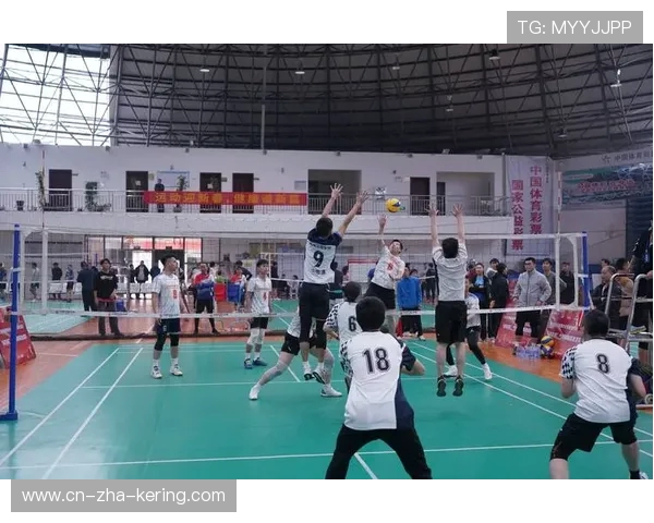 排球盛宴:深入解析杭州排球队的训练与竞技状态 排球盛宴:深入解析杭州排球队的训练与竞技状态