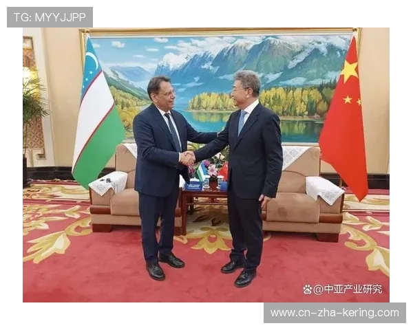 中国与乌兹别克斯坦视频对比分析探讨两国文化与经济发展差异