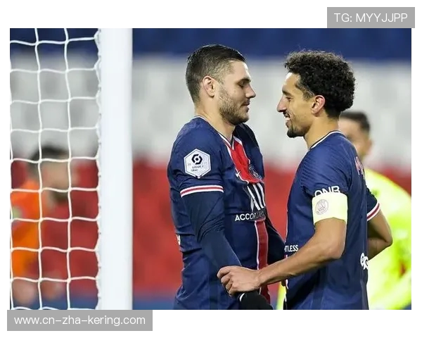 天狼星与卡马亚激战正酣比分悬念不断引发球迷热议